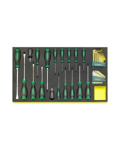 96831196-DRALL set of screwdrivers 36 pcs. in TCS inlay-TCS 4622/4650+10760 +10766